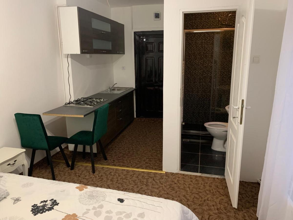Apartament Luxury Republicii *